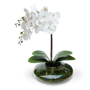 Arranjo De Flores 2 Orquídeas No Vaso De Vidro