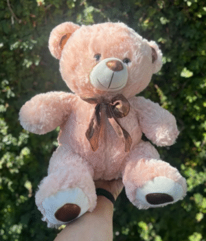 Urso de Pelúcia Grande