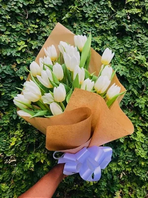BUQUÊ TULIPAS Brancas