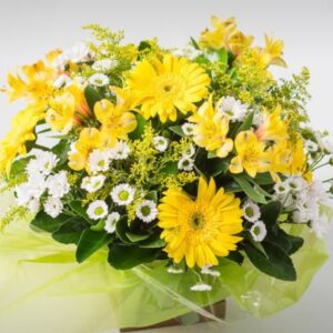 Arranjo de Gérberas e Margaridas Brancas e Amarelas